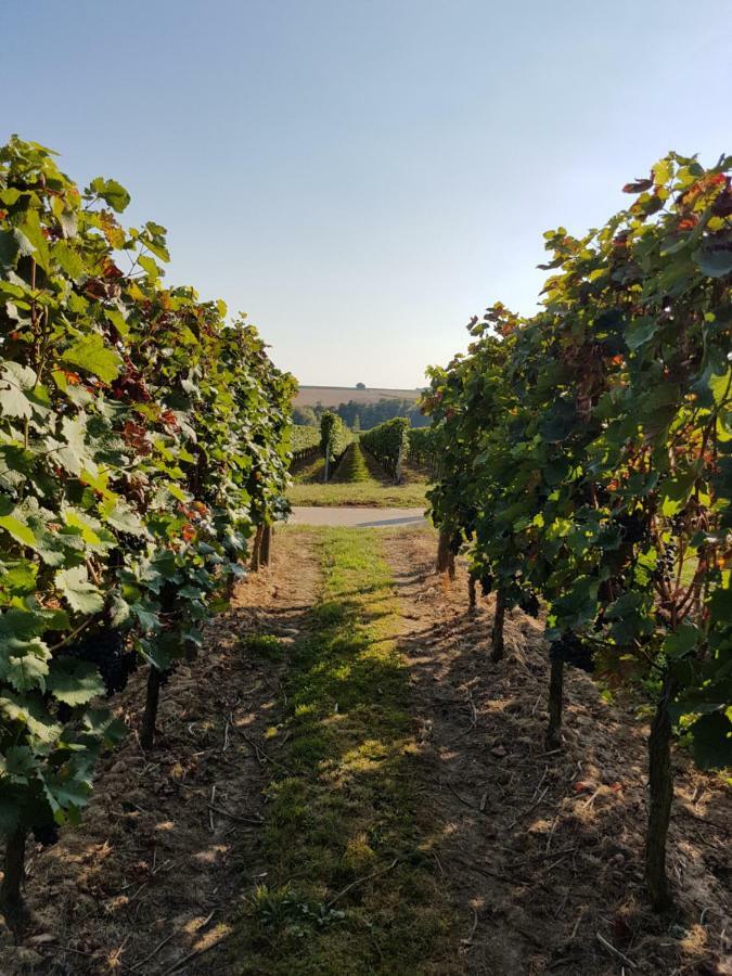 Weingut & Gaestehaus Nagel Kapellen-Drusweiler Exteriör bild