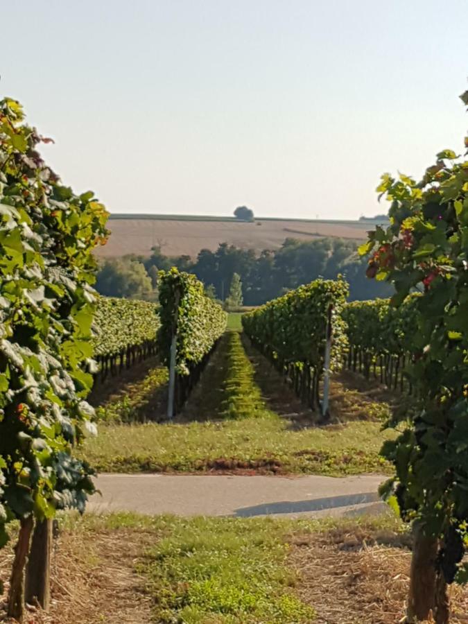 Weingut & Gaestehaus Nagel Kapellen-Drusweiler Exteriör bild